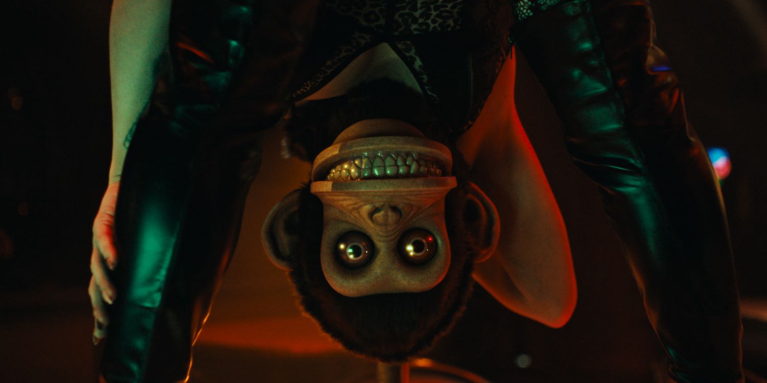 The Monkey St 5 Jpg Sd Low
