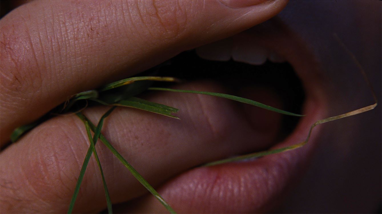 Wuthering Heights St 1 Jpg Sd Low Photo Courtesy Warner Bros Pictures