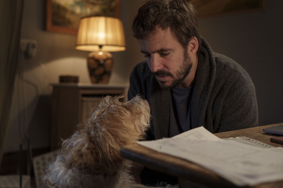 Hond Ik St 2 Jpg Sd Low