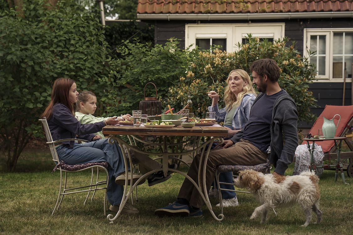 Hond Ik St 6 Jpg Sd Low