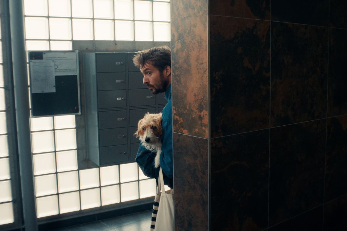 Hond Ik St 4 Jpg Sd Low