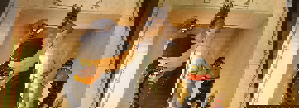 Header Image
