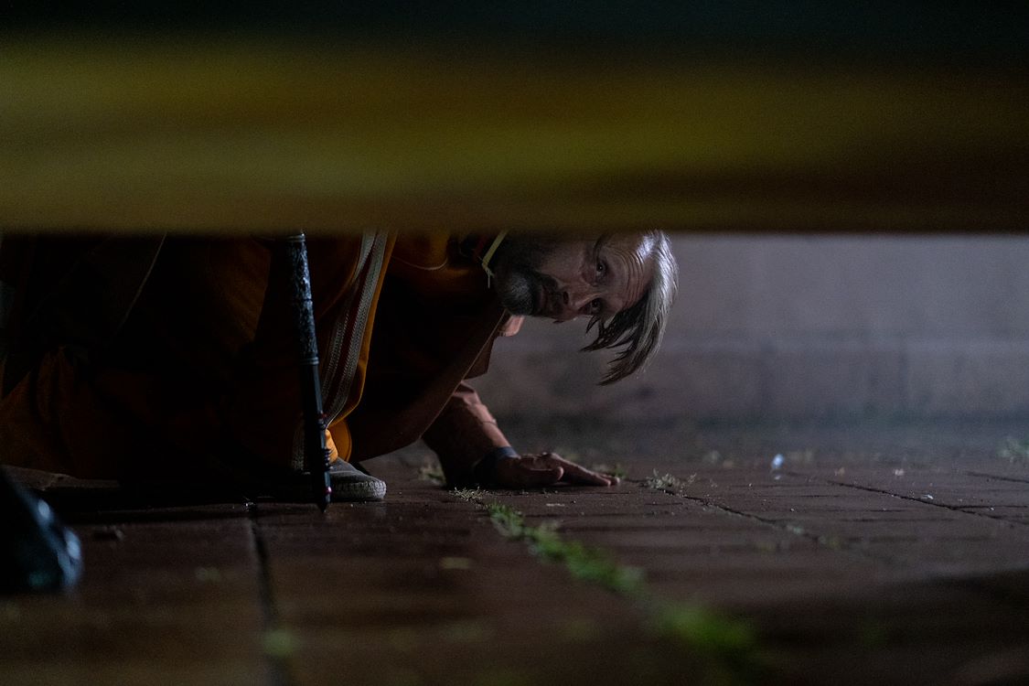 Dust Bunny St 5 Jpg Sd Low