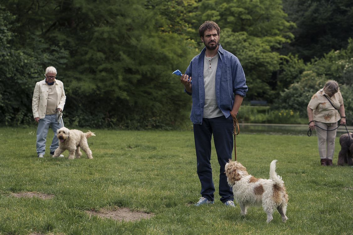 Hond Ik St 8 Jpg Sd Low