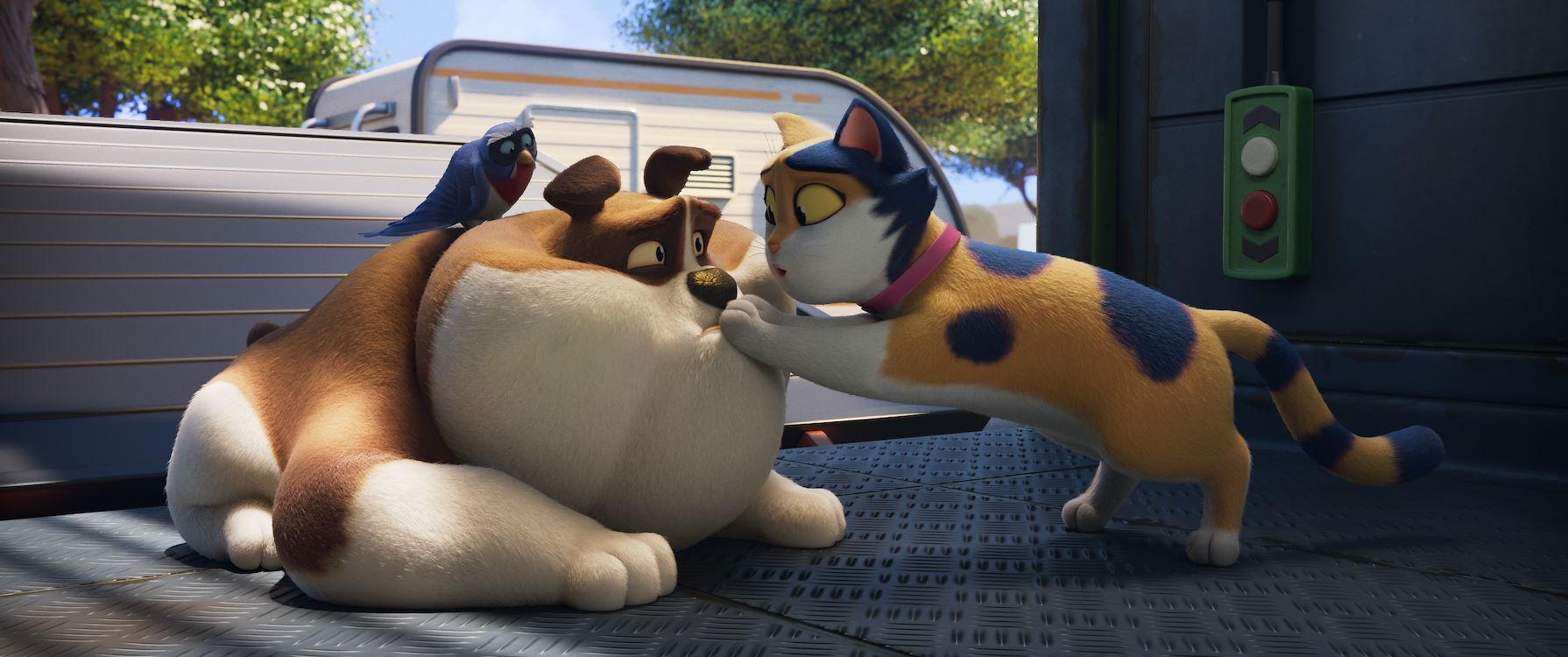 Miss Moxy St 2 Jpg Sd Low