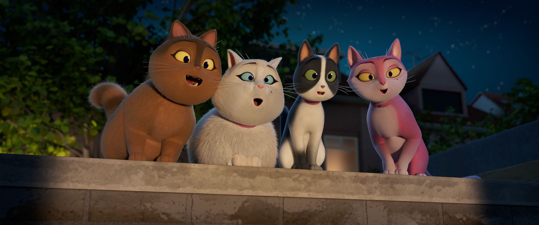 Miss Moxy St 3 Jpg Sd Low