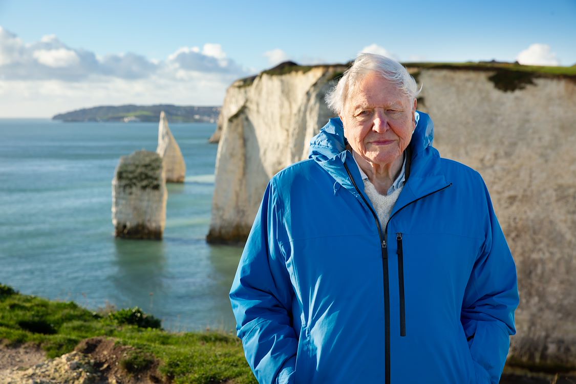 OCEAN With David Attenborough St 1 Jpg Sd Low Keith Scholey Silverback Films And Open Planet Studios