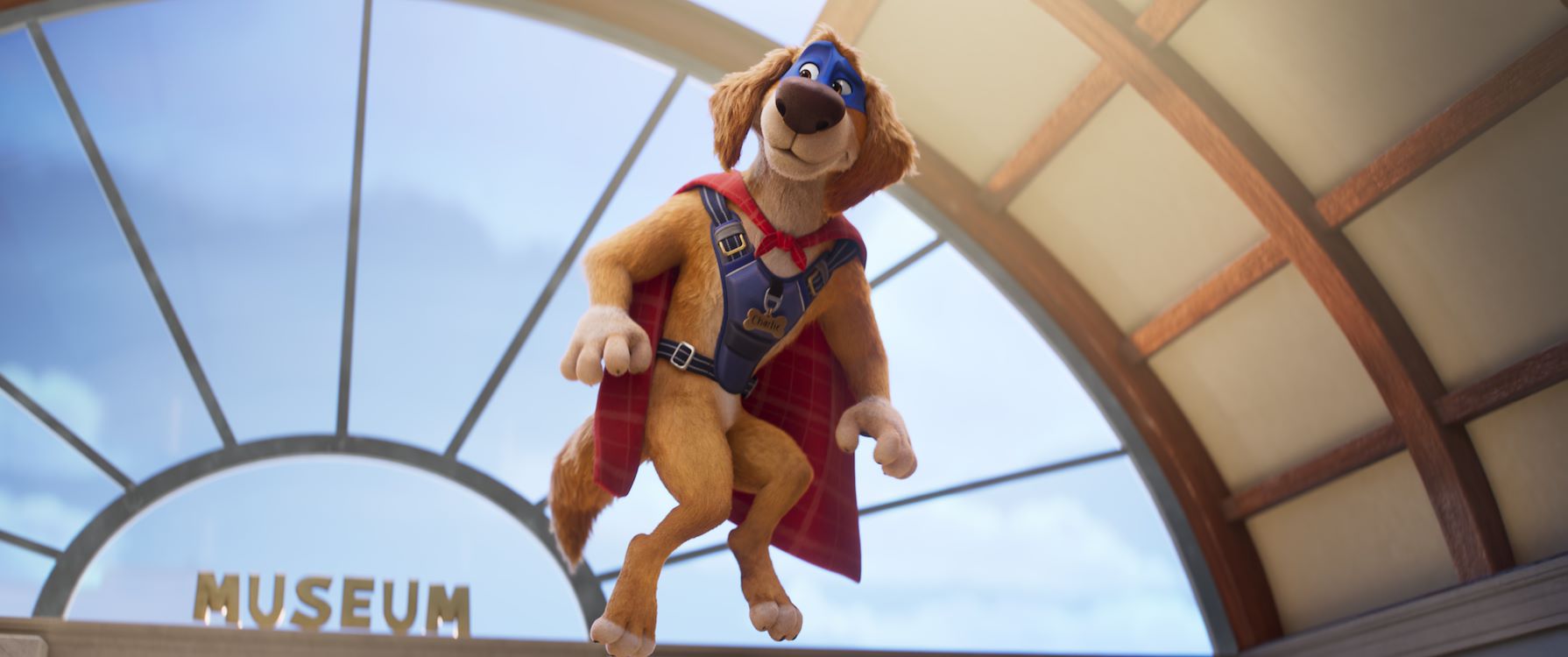 Charlie The Wonderdog St 11 Jpg Sd Low Copyright 2025 WW Entertainment