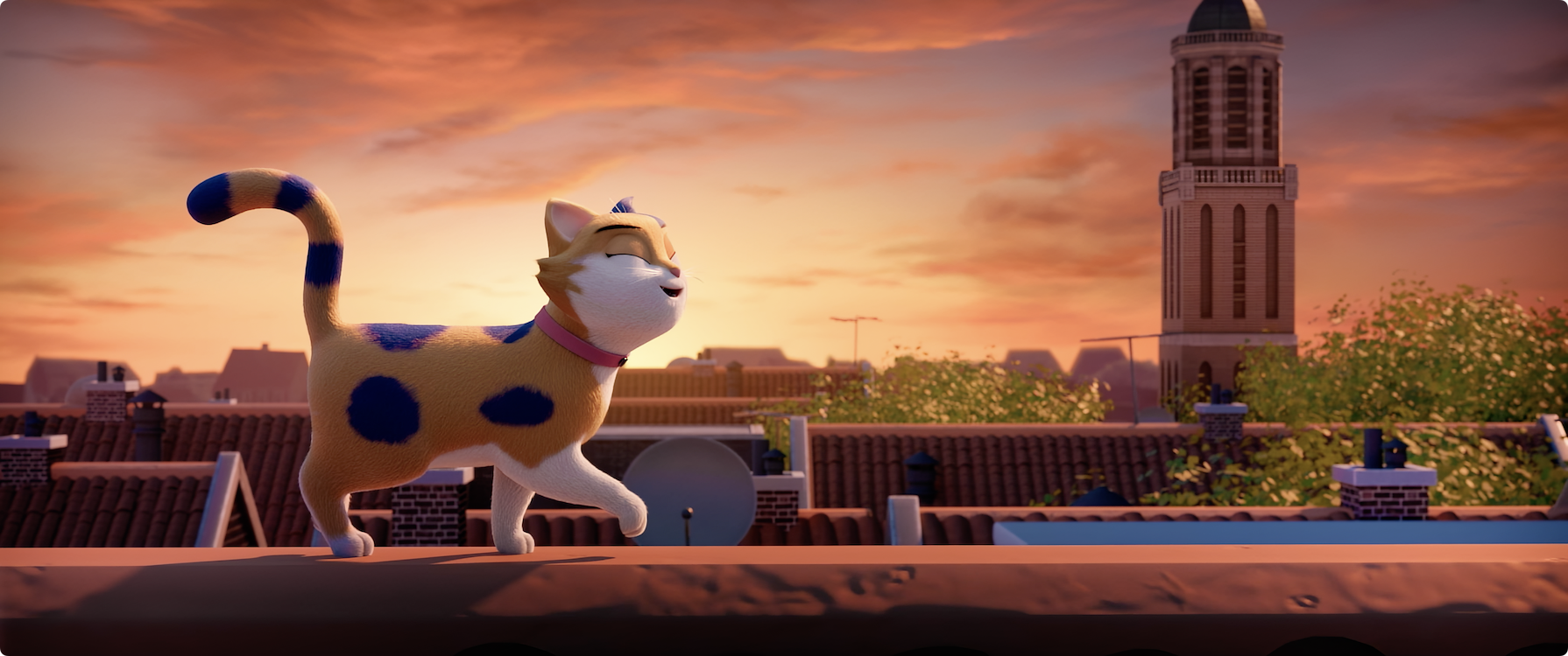 Miss Moxy St 4 Sd Low