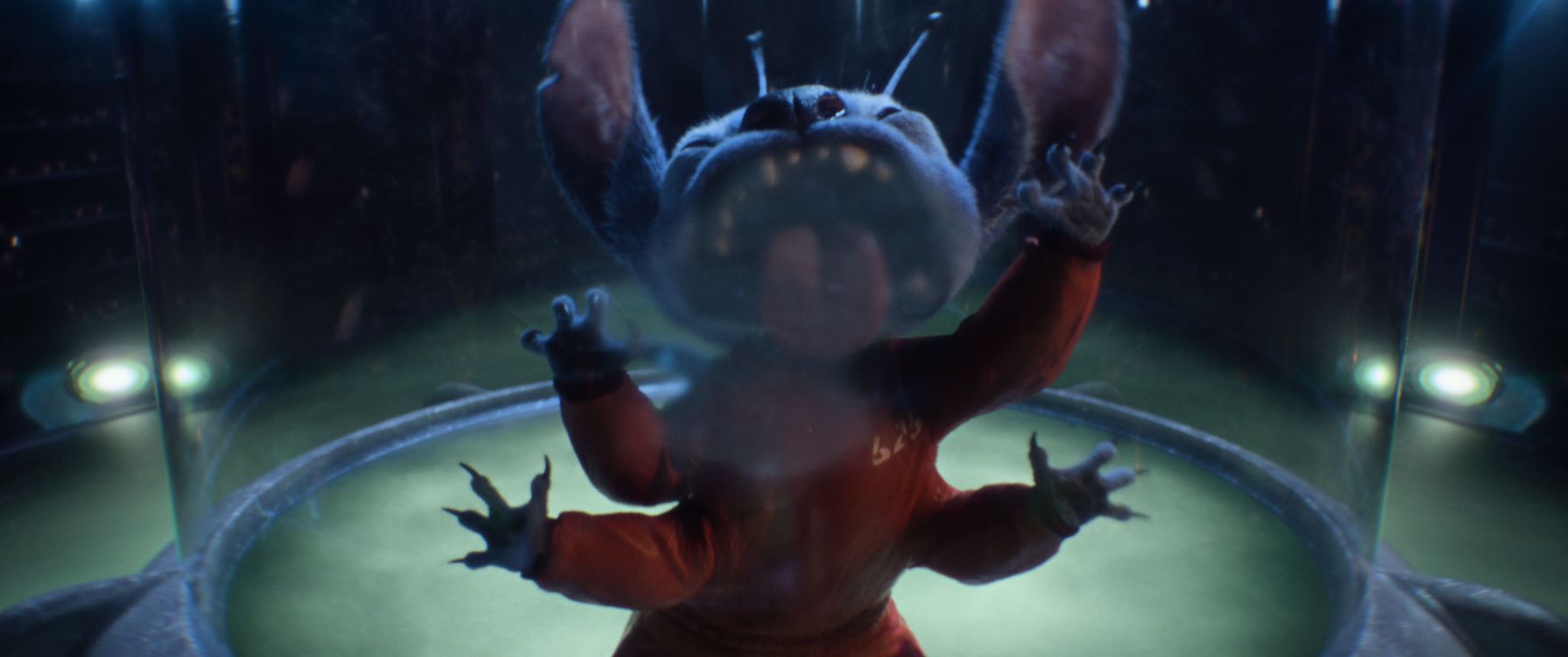 Lilo Stitch NL St 4 Jpg Sd Low Copyright The Walt Disney Company 2025