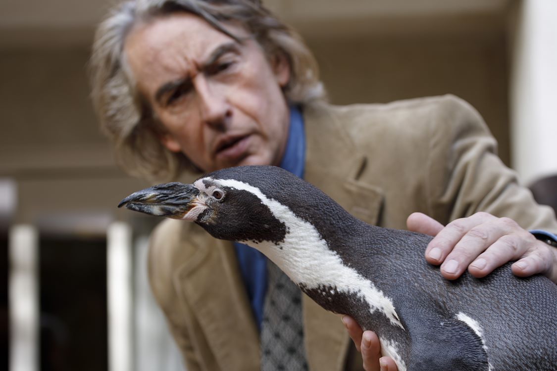 The Penguin Lessons St 5 Jpg Sd Low Photo By Andrea Resmini ©NOSTROMO PRODUCTION STUDIOS SL NOSTROMO PICTURES CANARIAS SL PENGUIN LESSONS LTD