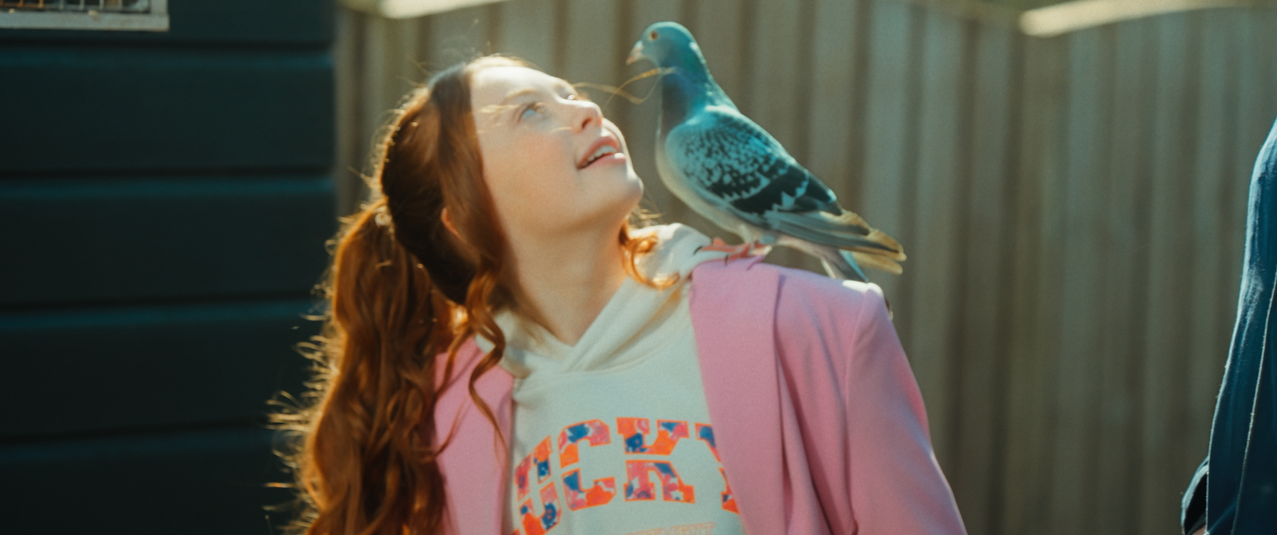 Duivinder St 9 Sd Low