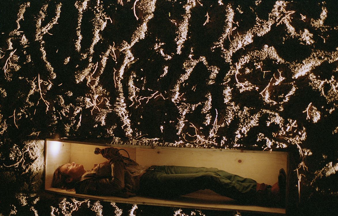 Kill Bill The Whole Bloody Affair St 7 Jpg Sd Low